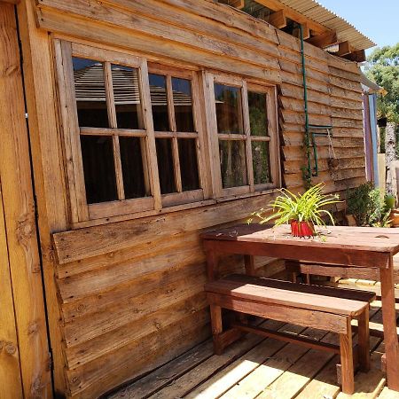 Hostel Los Charruas Punta Del Diablo Exteriér fotografie